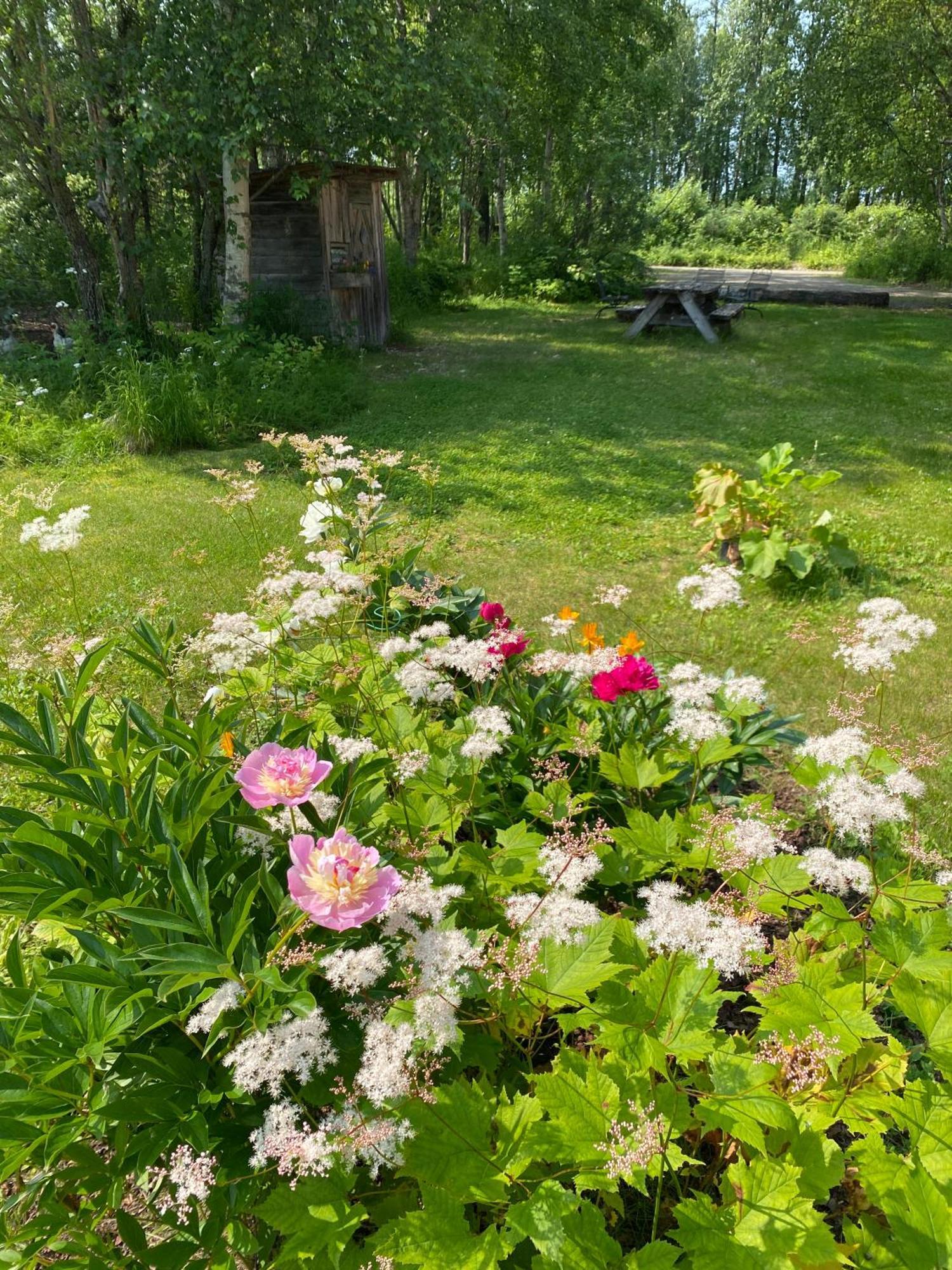Trapper John'S Cabin & Cottages Talkeetna Exterior photo